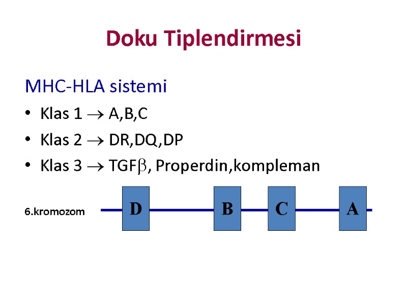 Doku Tiplendirmesi MHC-HLA sistemi Klas 1  A,B,C Klas 2  DR,DQ,DP Klas 3